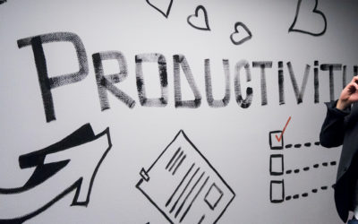 THE NEW PRODUCTIVITY PARADIGM:  A Guide to Getting Out of “Programmed” Productivity and into Your “Pure” Productivity
